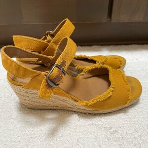 Yellow-orange wedges.